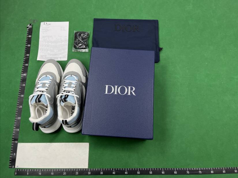 ph020 Dior B22