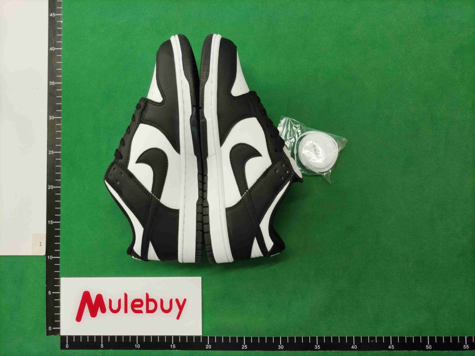 ph060 SB DUNK