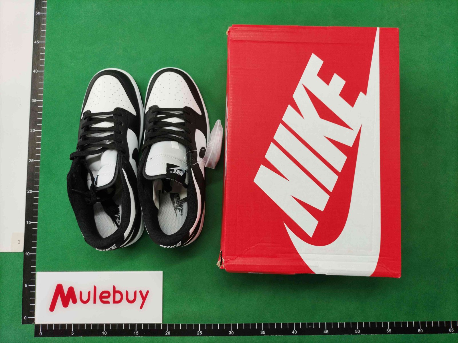 ph060 SB DUNK