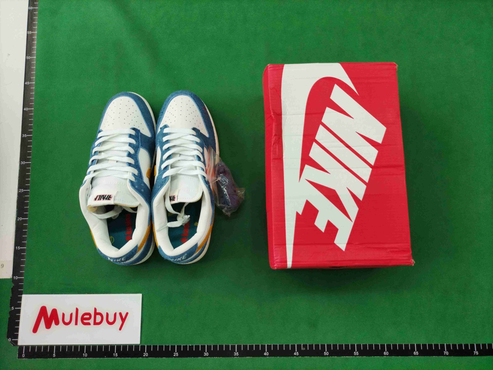ph075 Dunk SB Low
