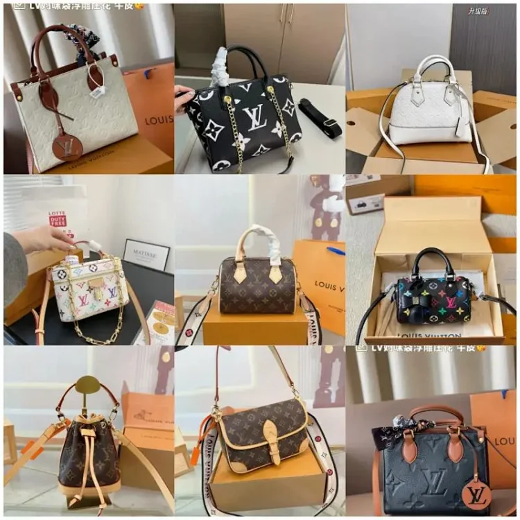 Louis Vuitton Lv bag